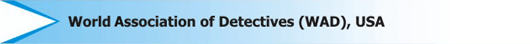 Investigation Affiliations,Napps: National Association of Professional Process Servers,CII:Council of International Investigators